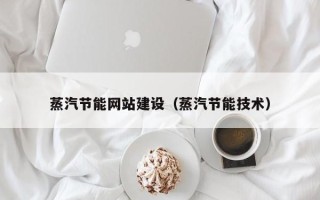 沧县蒸汽节能网站建设（蒸汽节能技术）